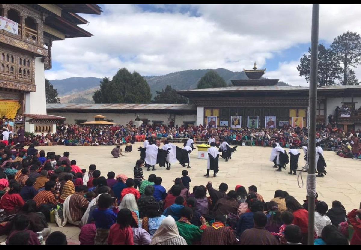 Black Necked Crane dance