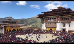 Black Necked Crane Festival 