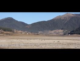 Phobjikha